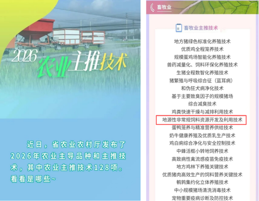 20260616103251_55439 w88win优德(中国)有限公司官方网站